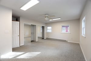 33250459