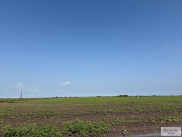 33258645