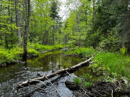 33272032