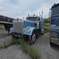 33260657