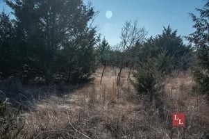 33263222