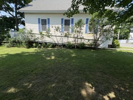34006694