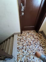 33282004