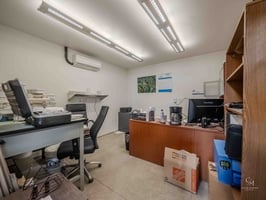 33284446