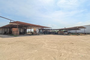 33288616