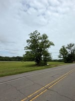 33288481