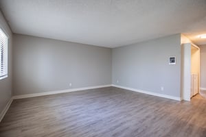 33289059