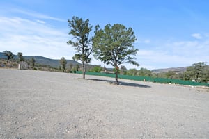 33290454