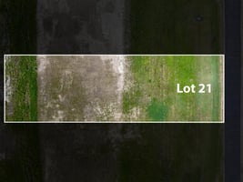 33591390
