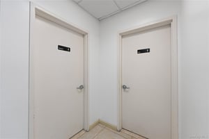 33302812