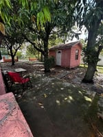 34464850