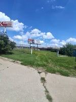 33355213