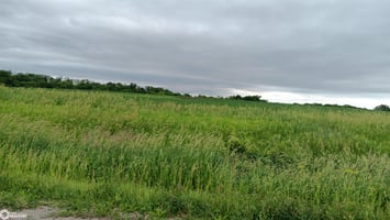 33416761