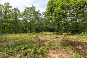 33348663