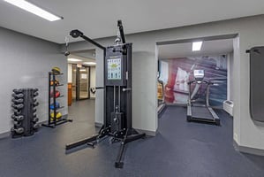 33349736