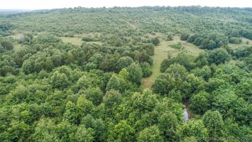 33403625