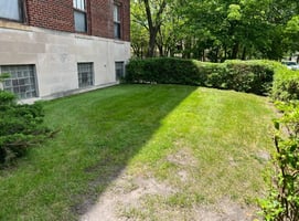 33442434