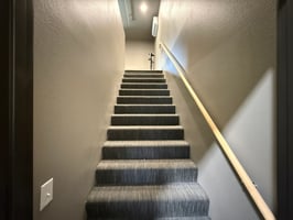 33462838