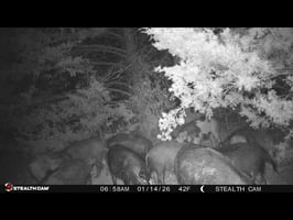 33473338