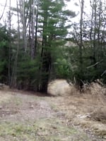 33601772