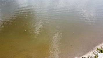 33481174