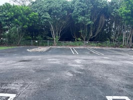 33484346