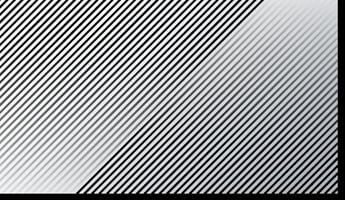 33500338