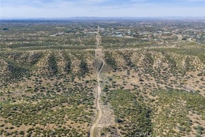 33502658