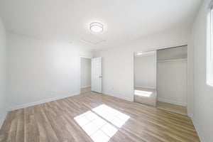33504974
