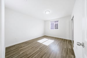 33504972