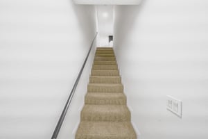 33504981