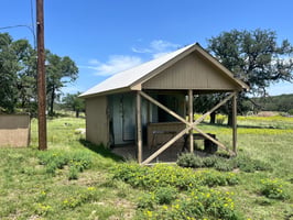 33505439