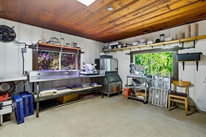 33509784