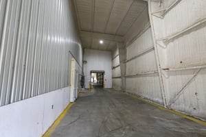 33531802