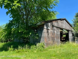 33539381