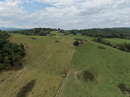 33546617
