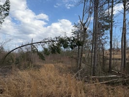33547368