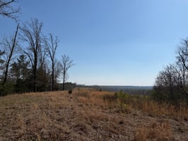 33547767
