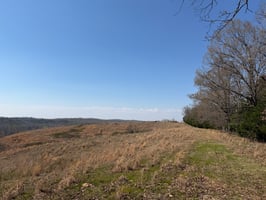 33547750