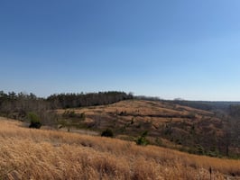 33547790