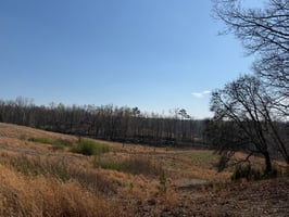 33547753