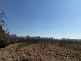 33547764
