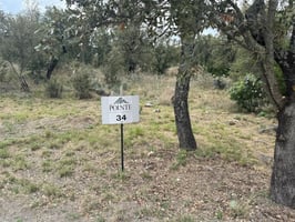33550290