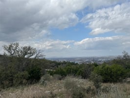 33550281
