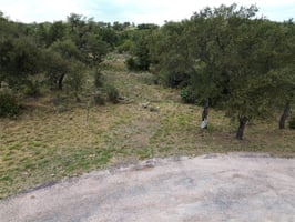 33550284