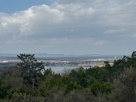 33550631