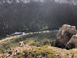 33562970