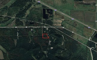 33560597