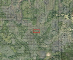 33701244