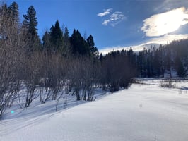 33817175